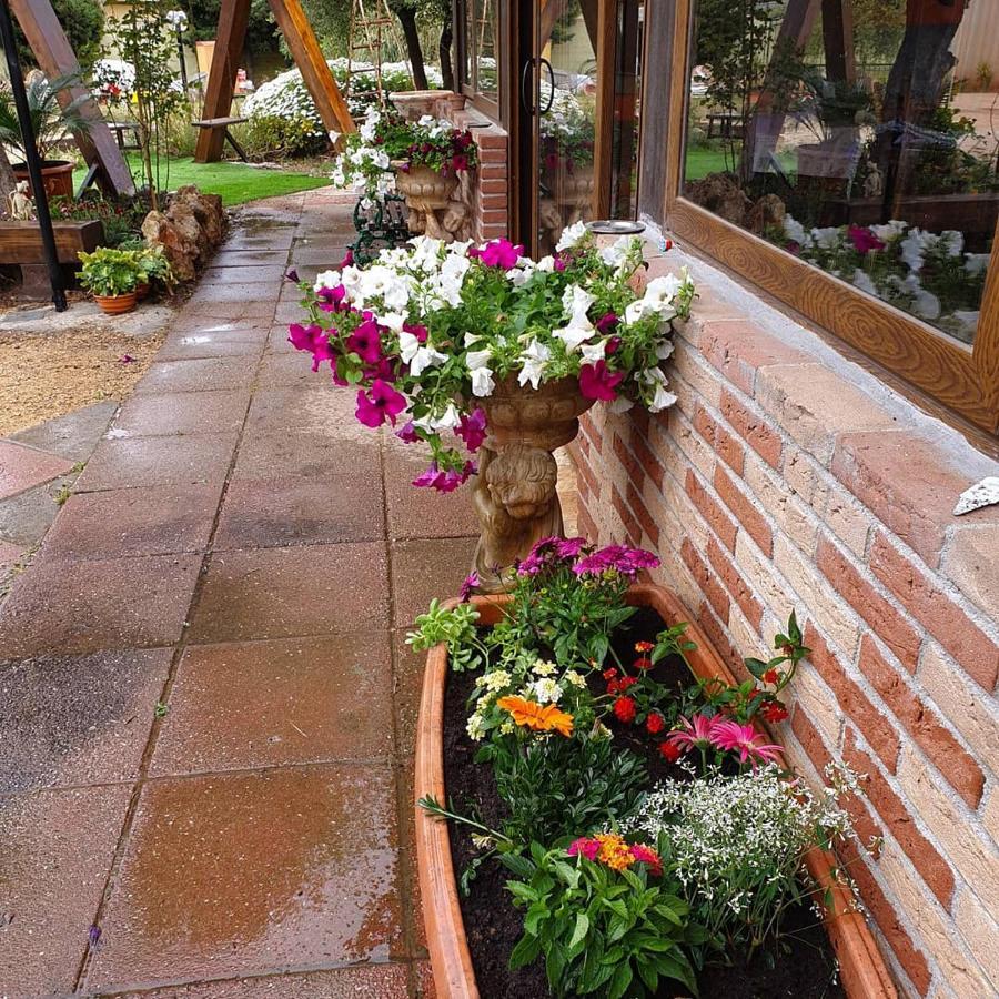 Bed and Breakfast Stella Sulcitana Gonnesa Exterior foto